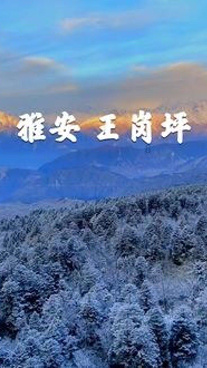 救援时尚的女孩